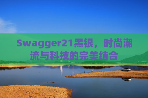Swagger21黑银,时尚潮流与科技的完美结合 Swagger21黑银,时尚潮流与科技的完美结合